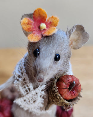 Mouses
