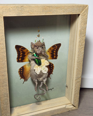 Butterfly Mouse 