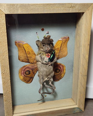 Butterfly Mouse 