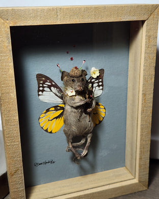 Butterfly Mouse 