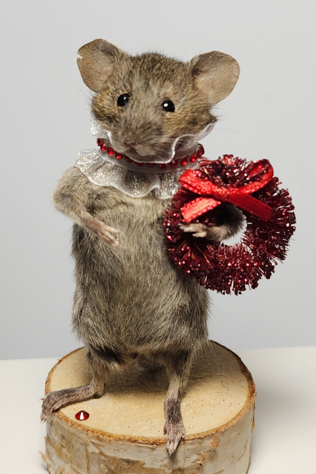 Taxidermy Mouse 