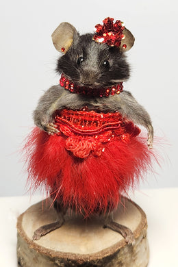 Taxidermy Mouse 