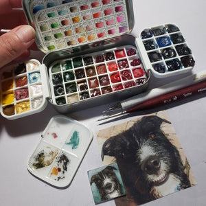 Tiny Pet Portrait